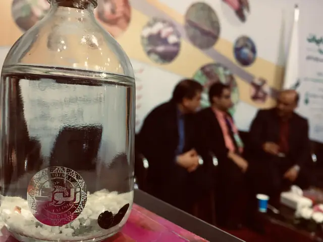بطری زالوی طبی با مهر اصالت